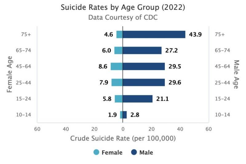 A bar graph showing the comparative suicide rates by age group as of 2022
