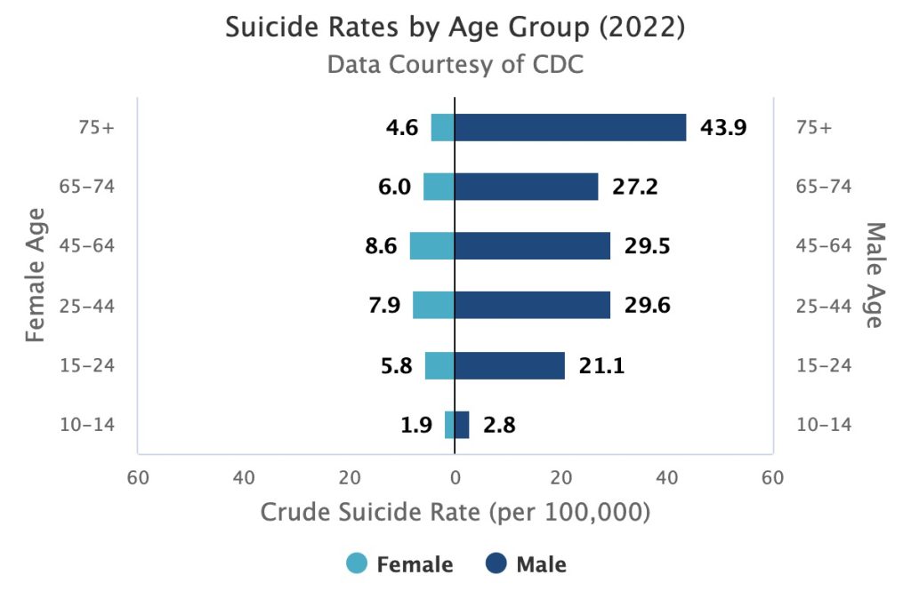 A bar graph showing the comparative suicide rates by age group as of 2022