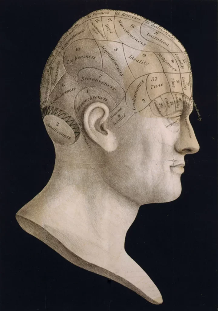 An illustration of a man's head with the head labeled in many places